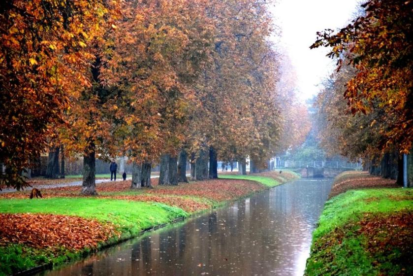 Unterfreundenblog Wochenendtipps Schwetzingen