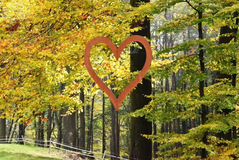 Unterfreundenblog Wochenendtipps Novemberfreuden Herbstwald