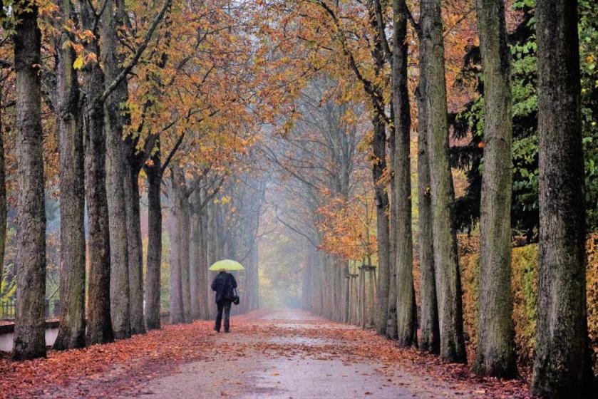 Unterfreundenblog Wochenendtipps Schlosspark Schwetzingen Allee