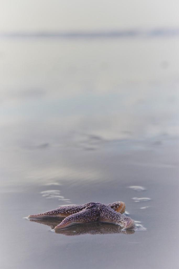 Unterfreundenblog Winter in Holland Castricum Zee Fab Four