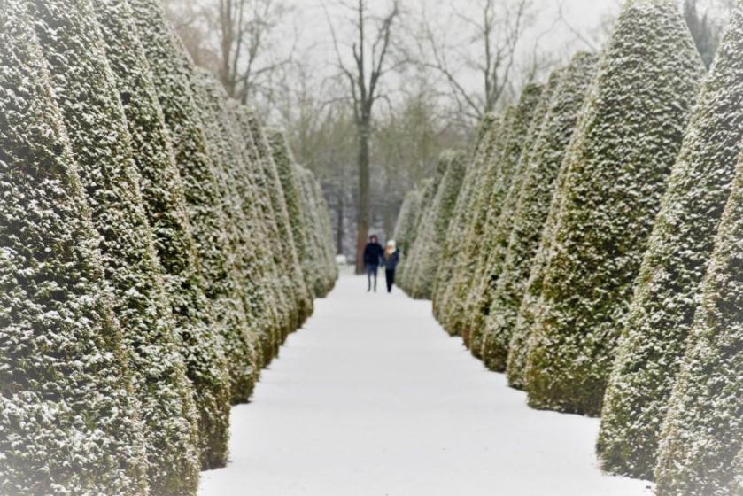 Unterfreundenblog Wochenendtipps Schwetzingen Winter