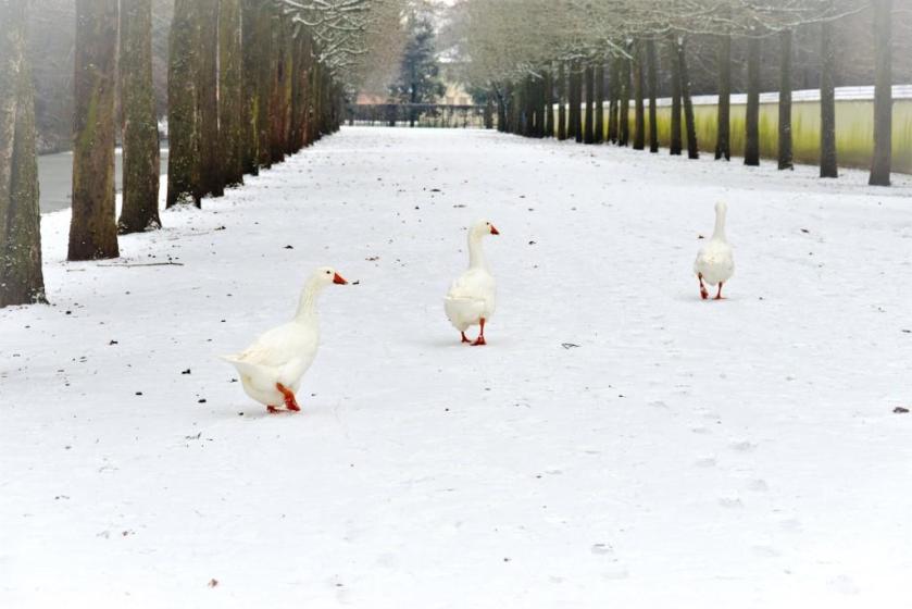 Unterfreundenblog Wochenendtipps