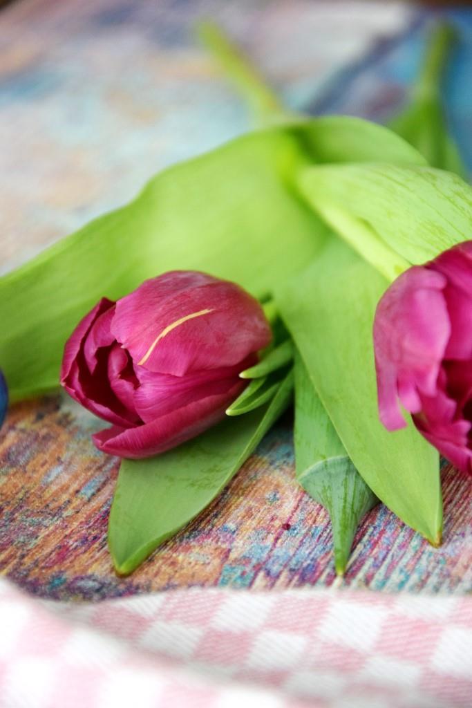Unterfreundenblog Valentinstag Tulpen Valentines Tulips