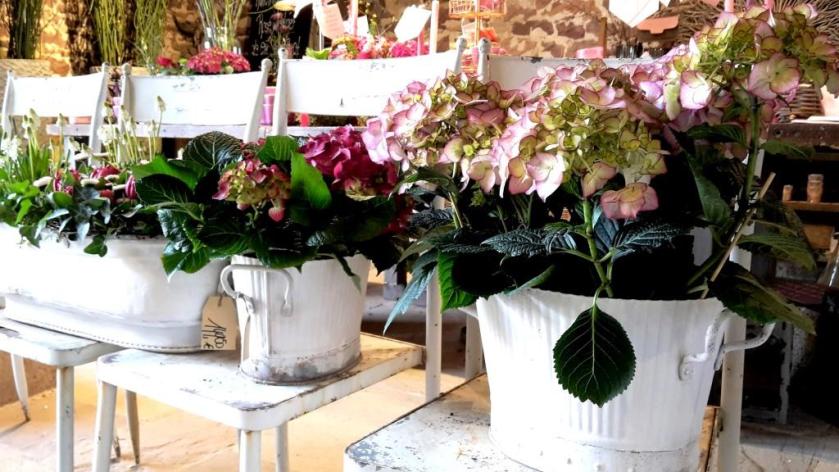 Unterfreundenblog Frühlingserwachen Alte Scheune Wochenendtipps Events Veranstaltungen