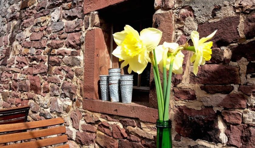 Unterfreundenblog Wochenendtipps Plant-a-flower-day