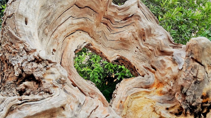 Liebster Award - Unterfreundenblog - Herz