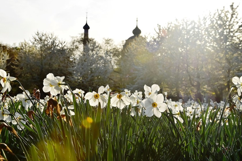Unterfreundenblog Schlosspark Schwetzingen Moschee