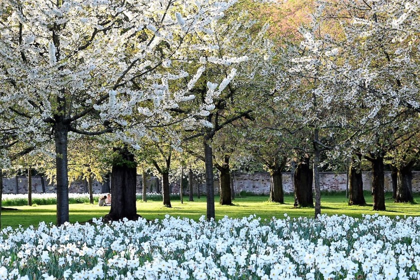Unterfreundenblog Wochenendtipps Muttertagsaktion Schlosspark Schwetzingen
