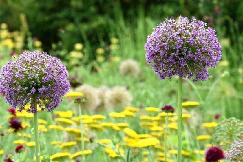 Unterfreundenblog Wochenendtipps Tag der offenen Tür Hermannshof Weinheim