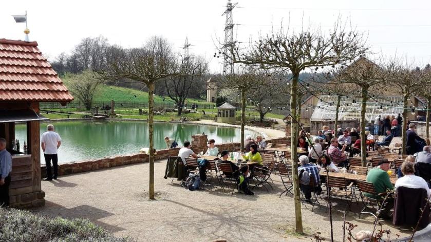 Seele baumeln lassen im Landgut Lingental, Leimen - Biergarten mit Seeblick
