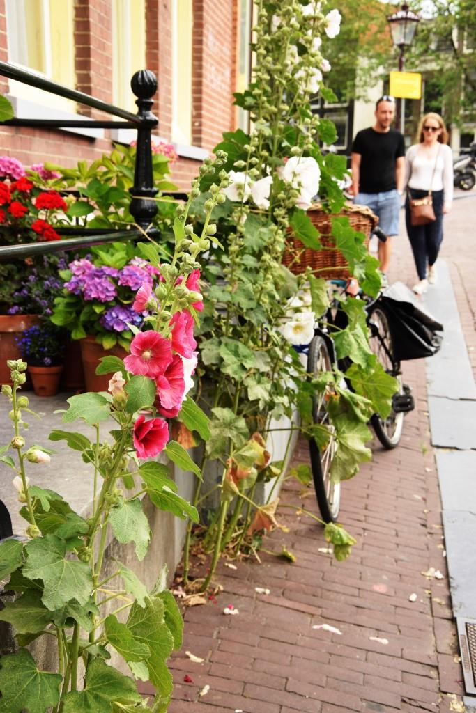 Ahoi Amsterdam - Urlaub auf dem Hausboot in Amsterdam - Unterfreundenblog