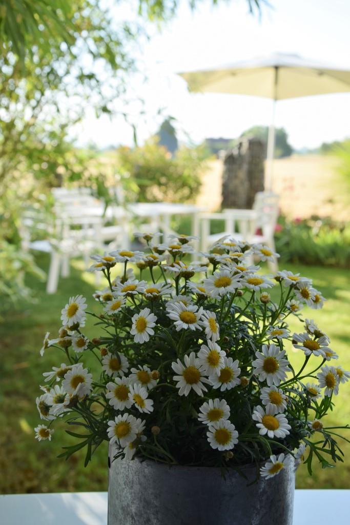 Geeiste Melonenbowle - mein Getränk zum White Dinner / Diner en blanc - Unterfreundenblog
