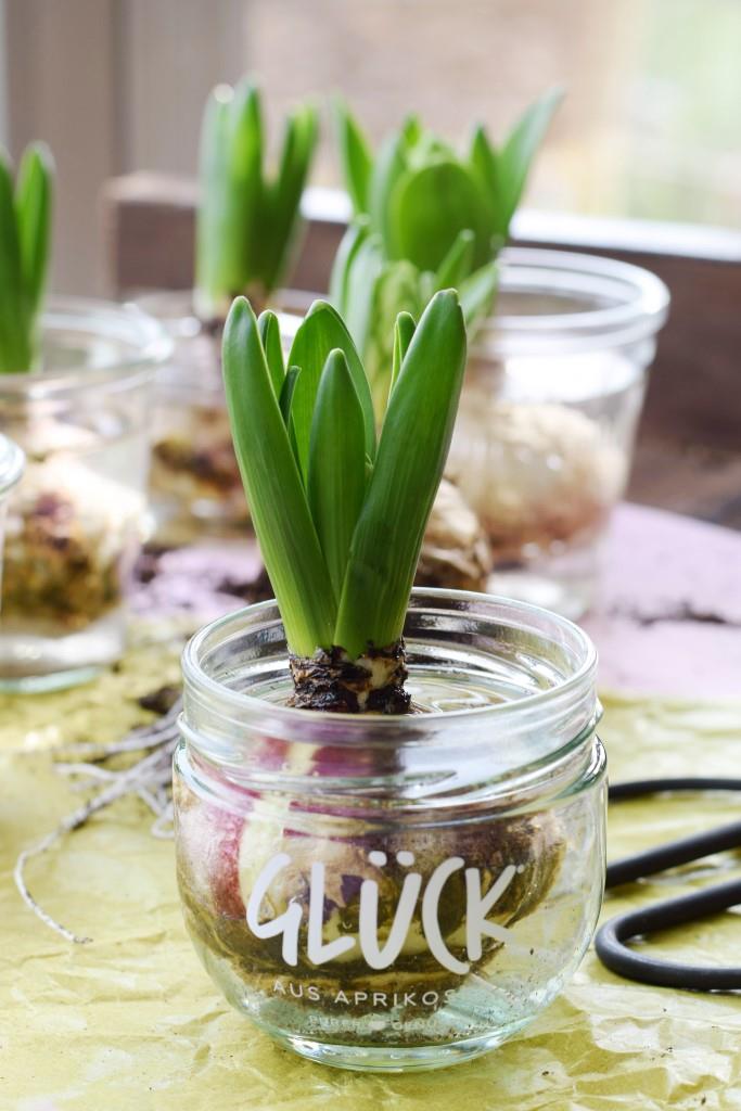 DIY Hyazinthen in Wachs - Frühlingsdeko in Pastell - Unterfreundenblog