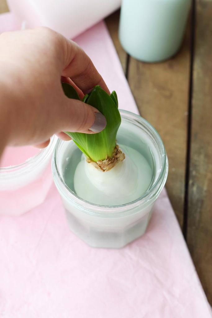 DIY Hyazinthen in Wachs - Frühlingsdeko in Pastell - Unterfreundenblog