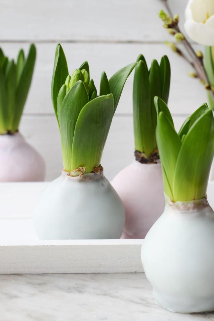 DIY Hyazinthen in Wachs - Frühlingsdeko in Pastell - Unterfreundenblog