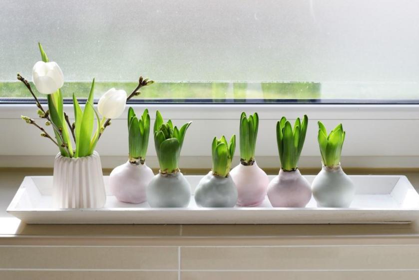 DIY Hyazinthen in Wachs - Frühlingsdeko in Pastell - Unterfreundenblog