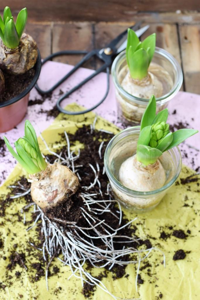 DIY Hyazinthen in Wachs - Frühlingsdeko in Pastell - Unterfreundenblog