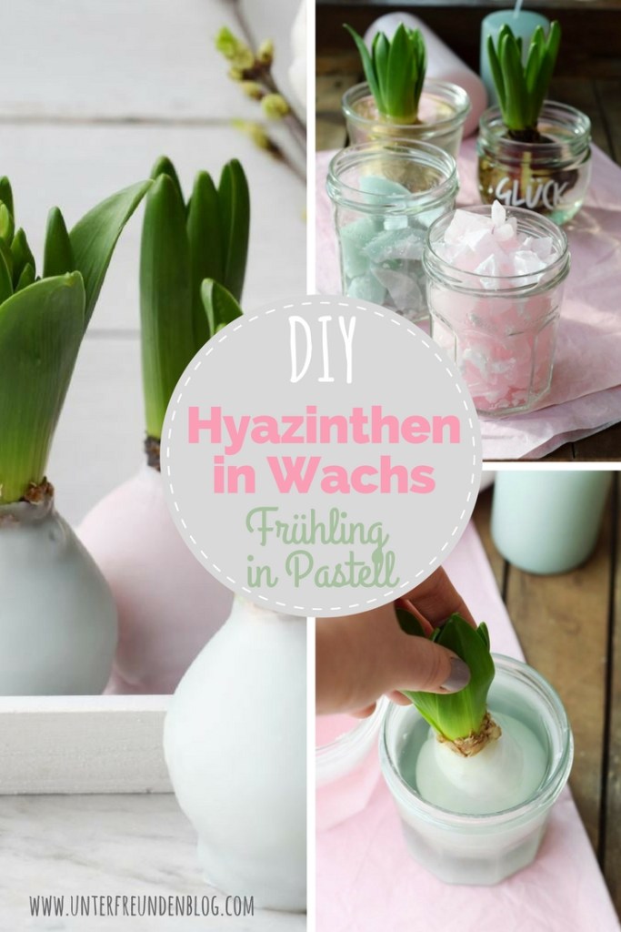 DIY Hyazinthen in Wachs - Frühlingsdeko in Pastell - Unterfreundenblog