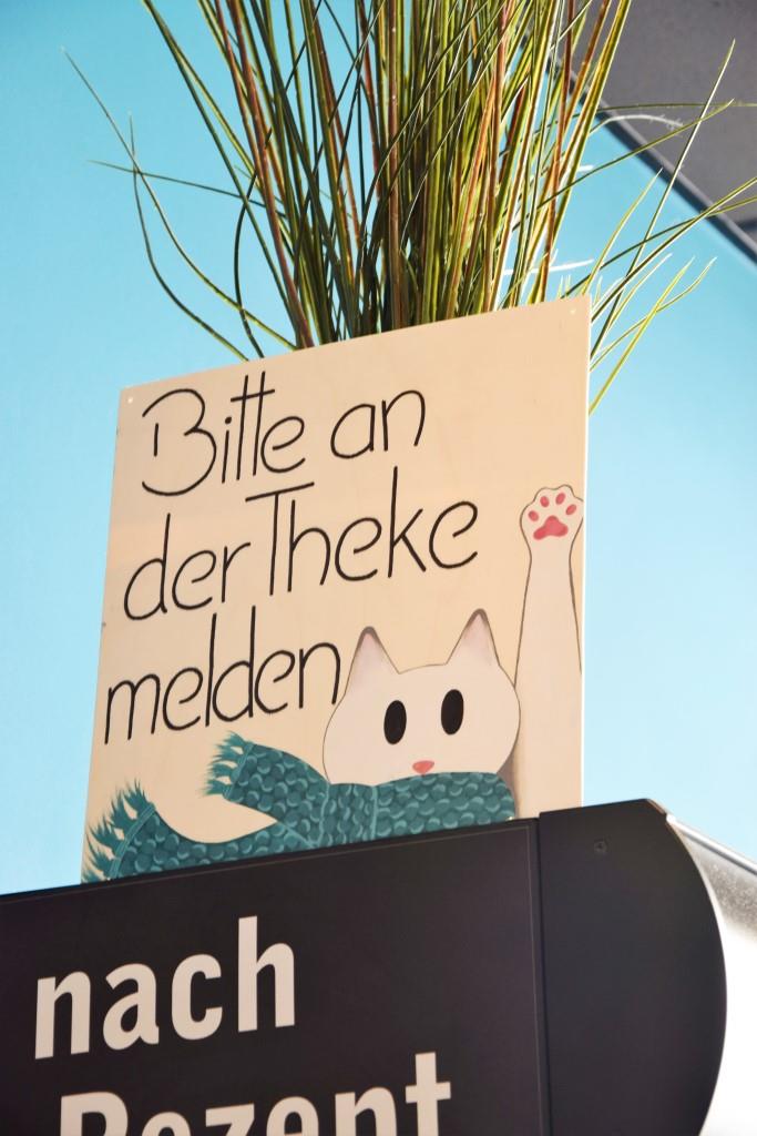 Daumen, äh Pfoten hoch fürs Cats Café in Karlsruhe