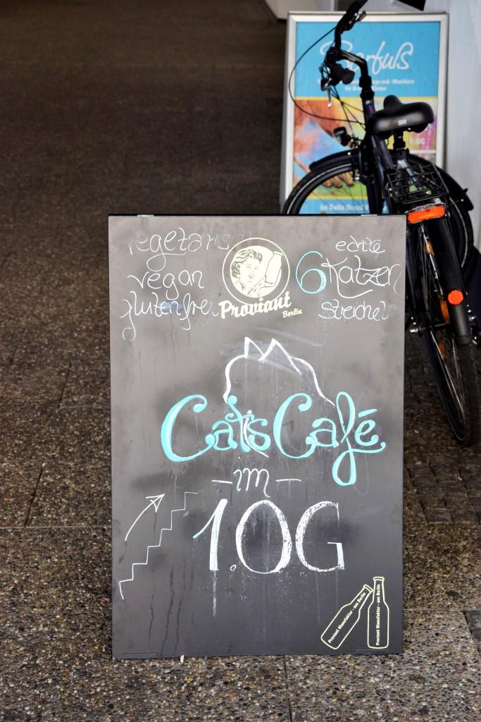 Treppe hoch auf einen Kaffee mit Katze - im Cats Café Karlsruhe