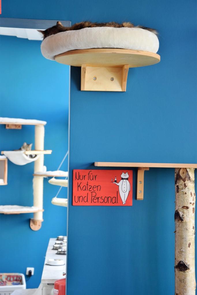 Bis hierher und nicht weiter! Hier dürfen nur Personal und Katzen rein. Rückzugsbereich im Cats Café Karlsruhe