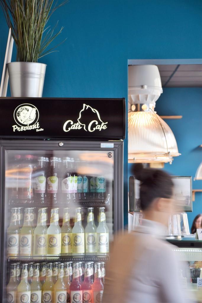 Flotter und sehr netter Service im Cats Café Karlsruhe