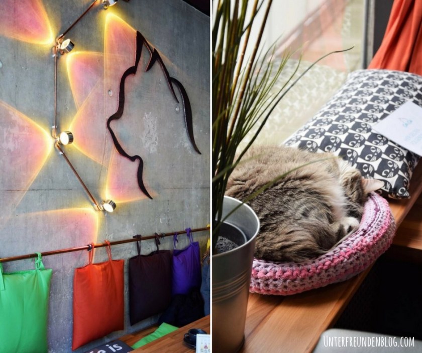 Ein Plätzchen mit Miau-Faktor! Das Cats Café in Karlsruhe - zum Schnurren schön!