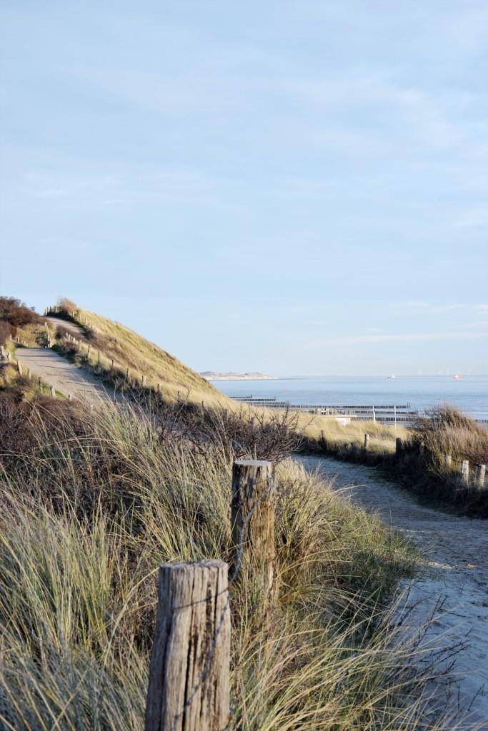 Durchatmen und Wellen gucken - Hollandglück pur!