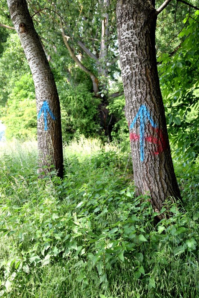 Quo vadis? Welchem Pfeil folgen wir denn jetzt?