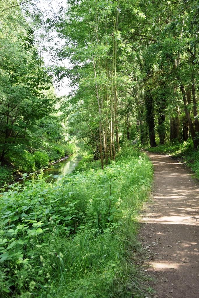 Endspurt! Durch schattige Wälder geht's in Richtung Schwetzingen