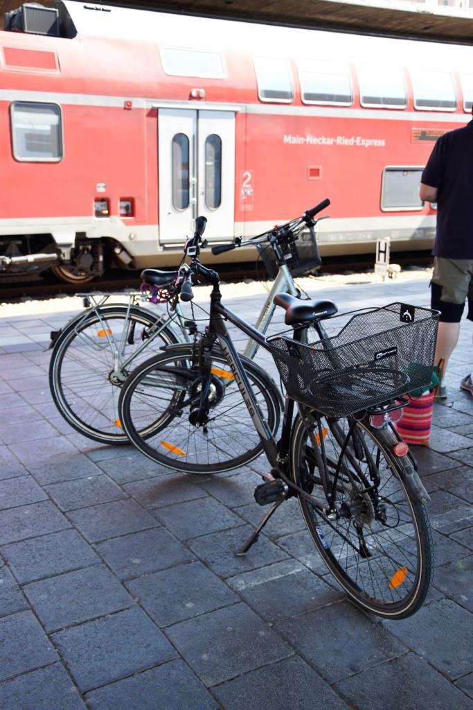 Die Bahn bringt uns zum Startpunkt nach Hoffenheim