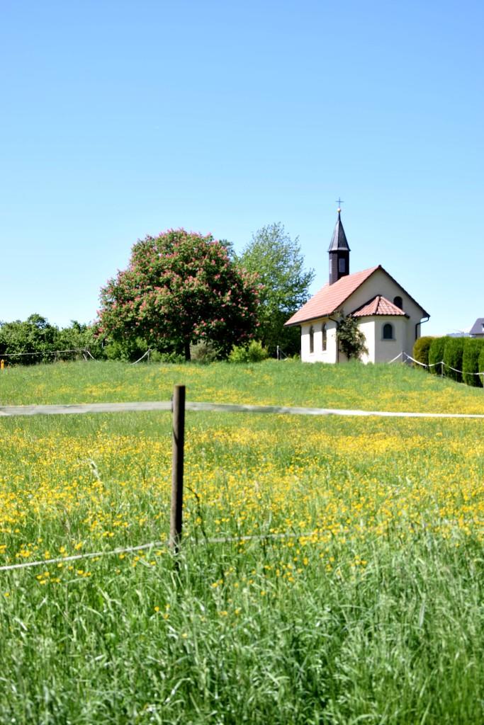 Wie Urlaub! So schööööön! Die Leimbachroute im Kraichgau