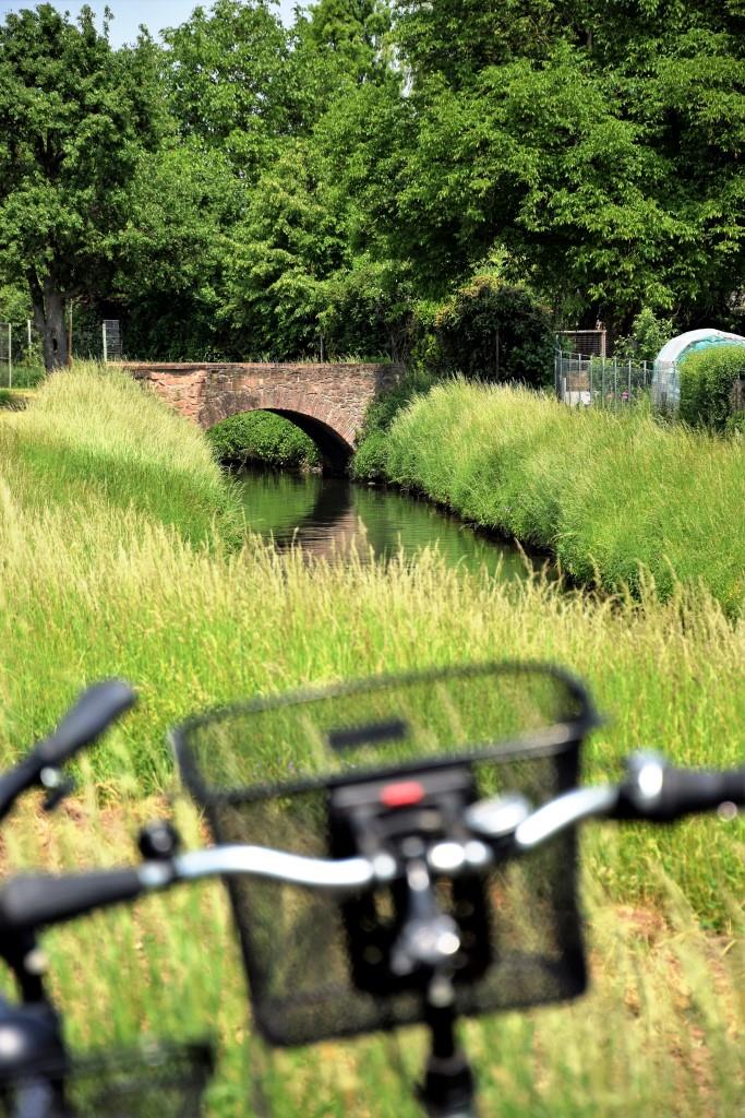 Unterwegs-Impressionen von unserer Tour de Leimbach