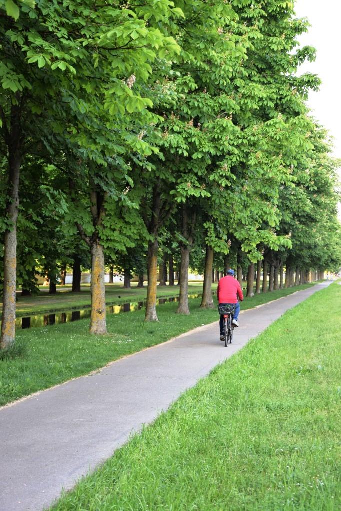Gemütlich radeln und den Leimbach immer im Blick