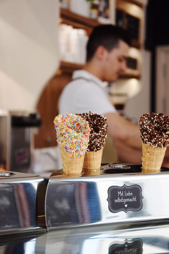 Besitzer Calo in seinem Element