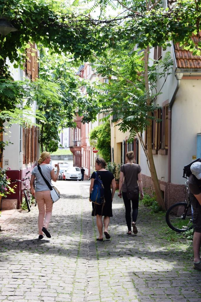 Malerische Gässchen in Heidelberg Neuenheim