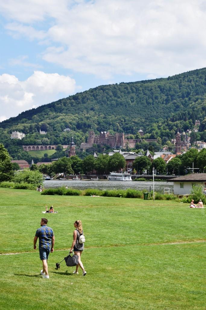 ... und ab auf die Neckarwiese zum Picknick mit Schlossblick