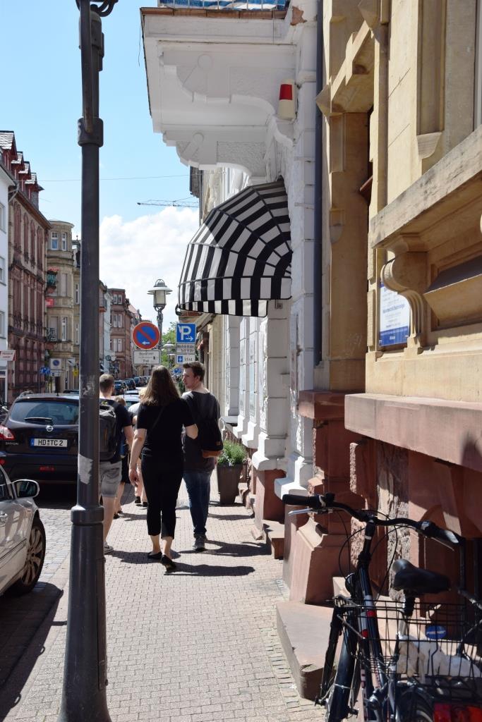 Spaziergang durch das sommerliche Heidelberg-Neuenheim