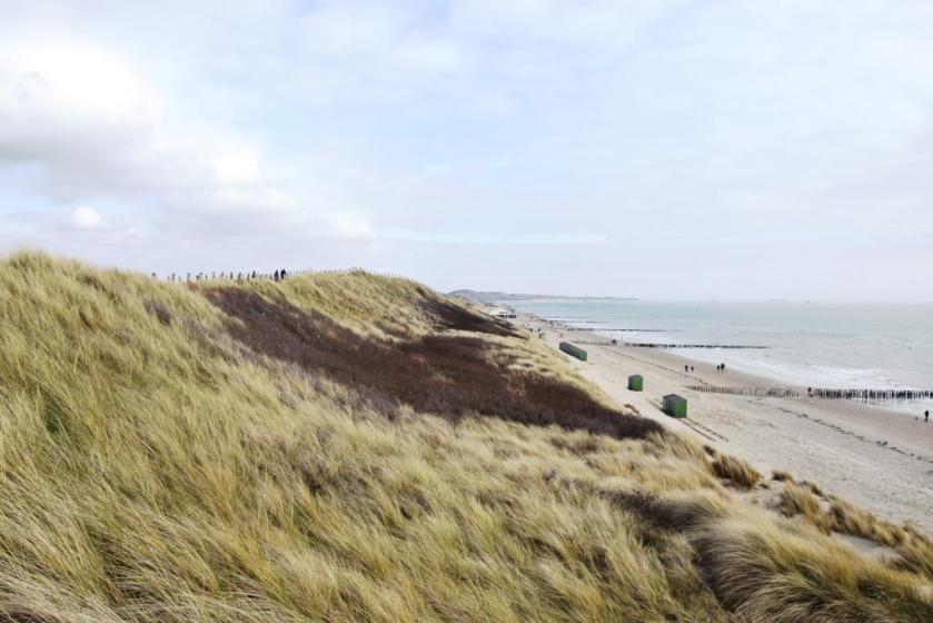 Große Hollandliebe auf den ersten Blick!