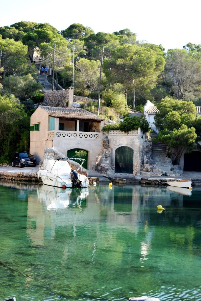 50 Shades of Green - die Bucht, die Türen, der Pinienwald