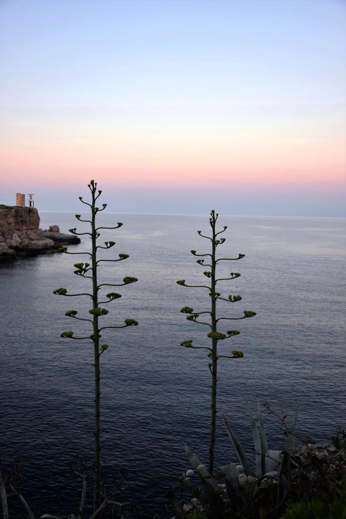 Hach ... Morgenstimmung in der Bucht von Cala Figuera