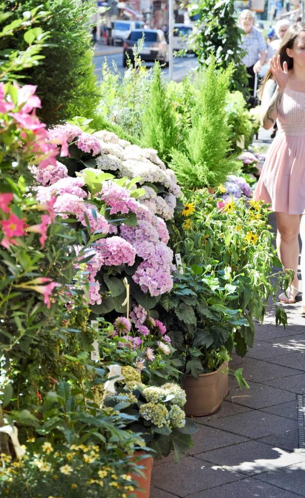 Eat the world - Kulinarische Stadtführung durch Heidelberg - Unterfreundenblog, der Lifestyleblog aus der Rhein-Neckar-Region