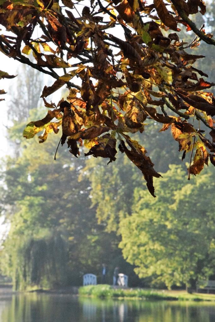 Ein Tag am See im Herbst - FALL in LOVE