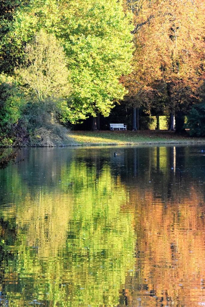 Indian Summer - die Herbstfarben im Park