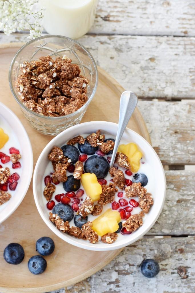 Rawnola Erdnussbutter-Schoko - vegan, gesund, so lecker