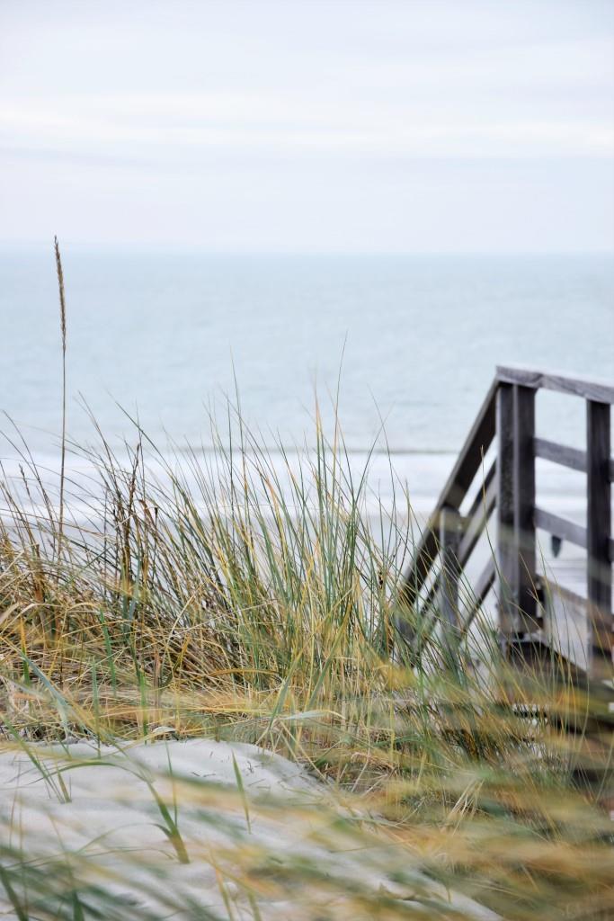 #Beachvibes Dünen und Meer in Zeeland