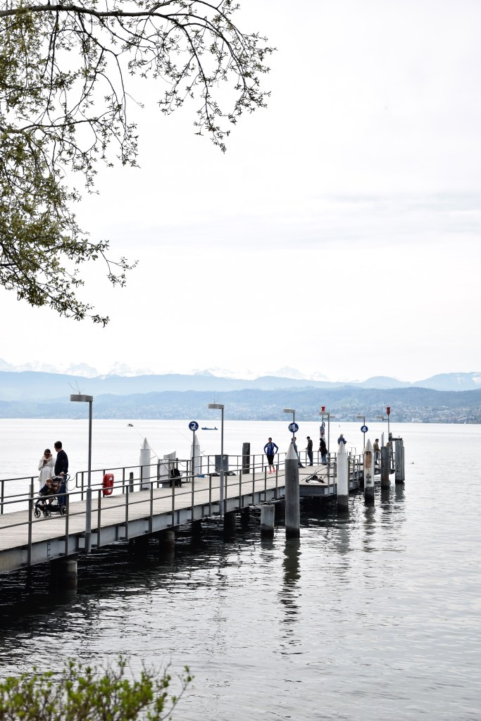 Zürich See Berge