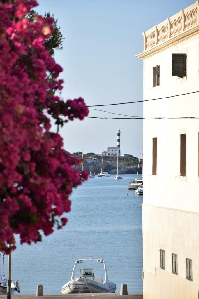 Bougainvillea Mallorca Portocolom
