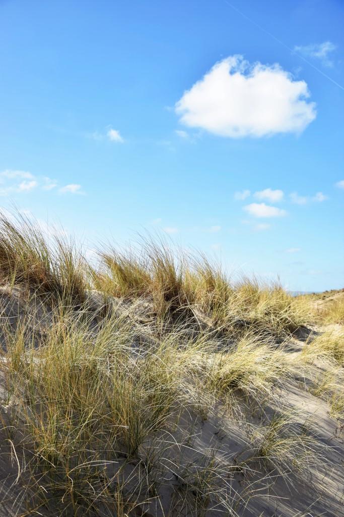 Zeeland Dünen Niederlande