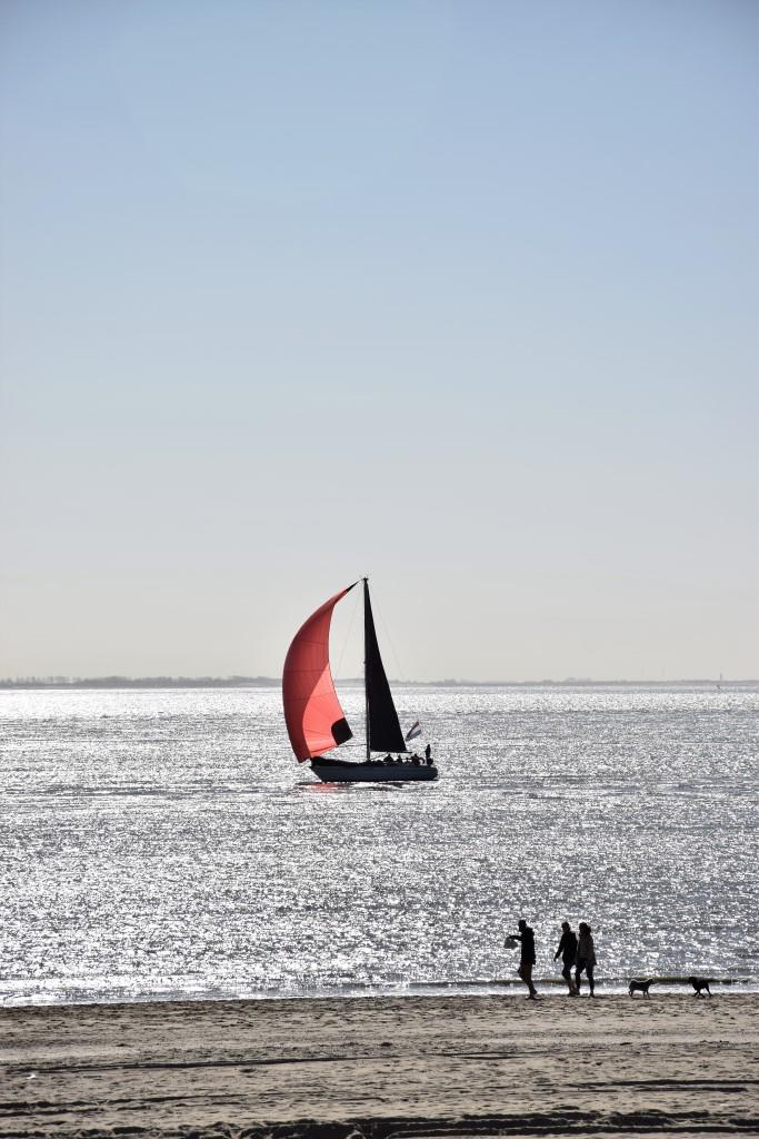 Segeln Zeeland Strand